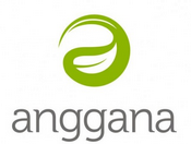 PT Anggana Catur